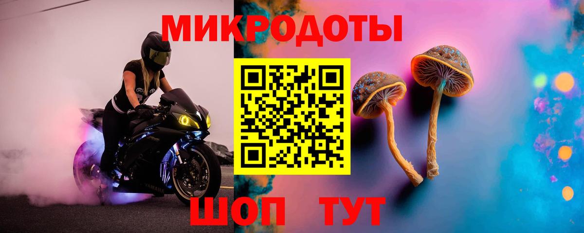 Псилоцибиновые грибы Psilocybe Холмск